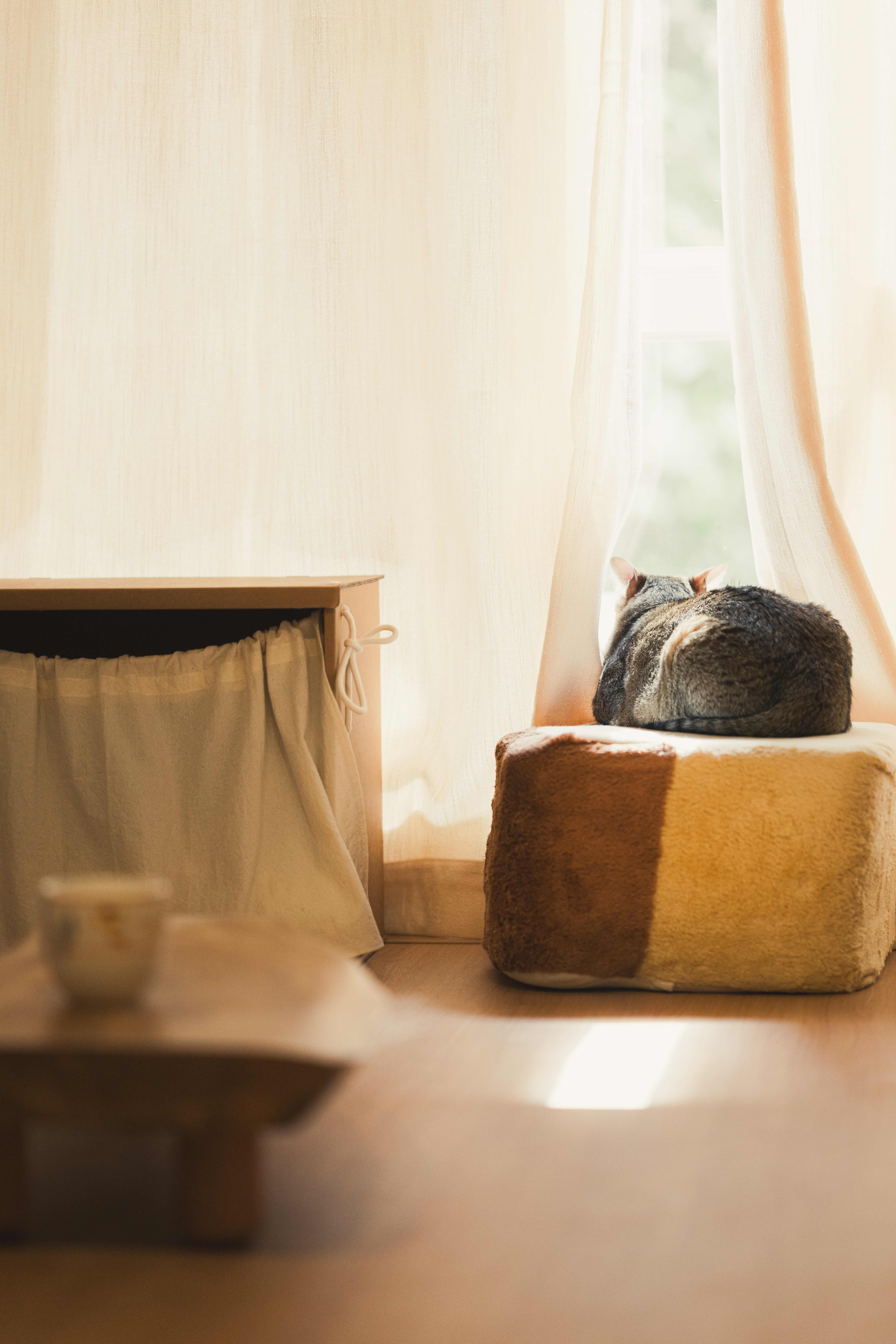 Kevin Lam - GO FAME COMPANY - Ning On Mansion