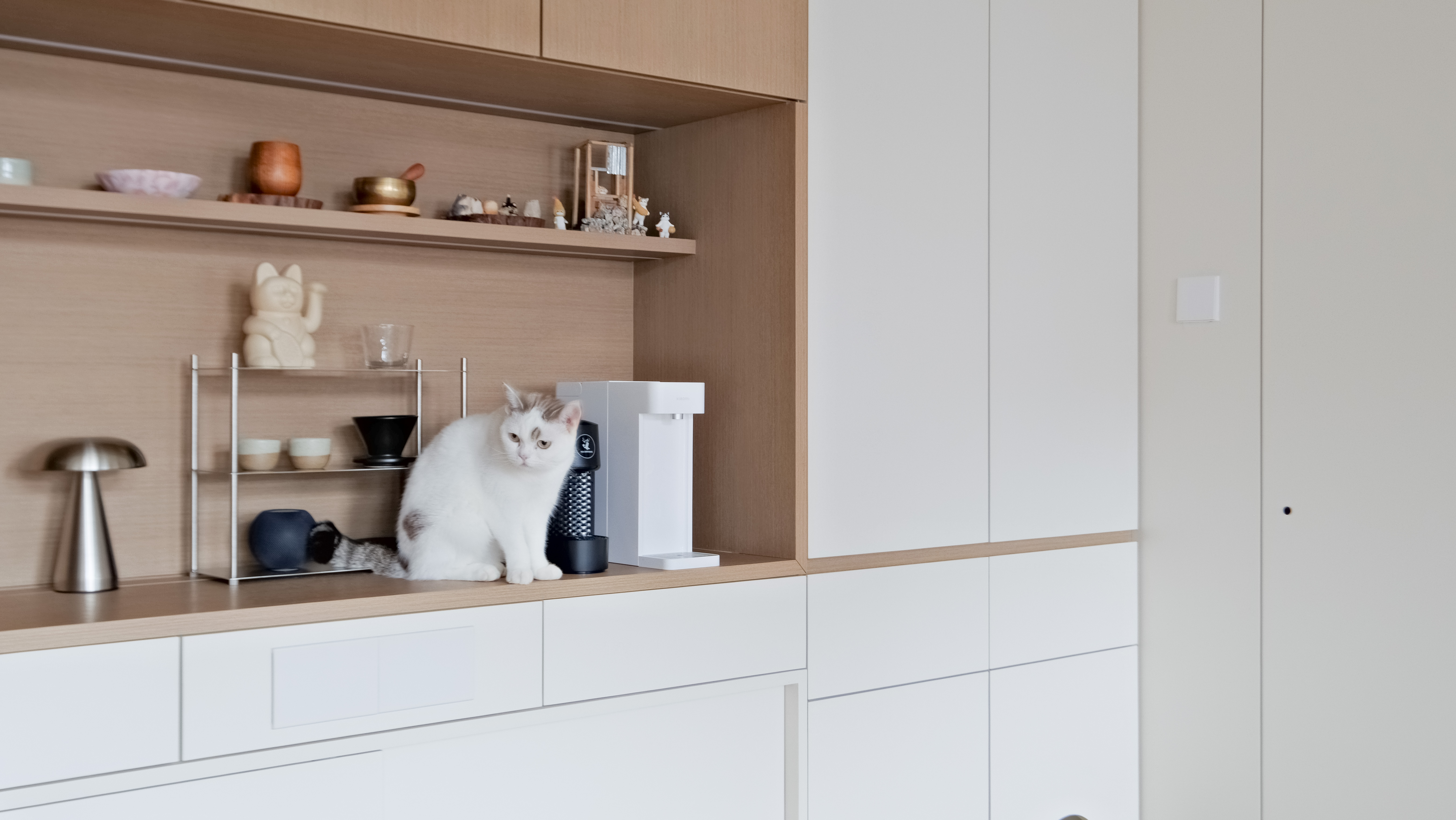 Mike Chan - C.M.T Interior Design - Fullview Garden