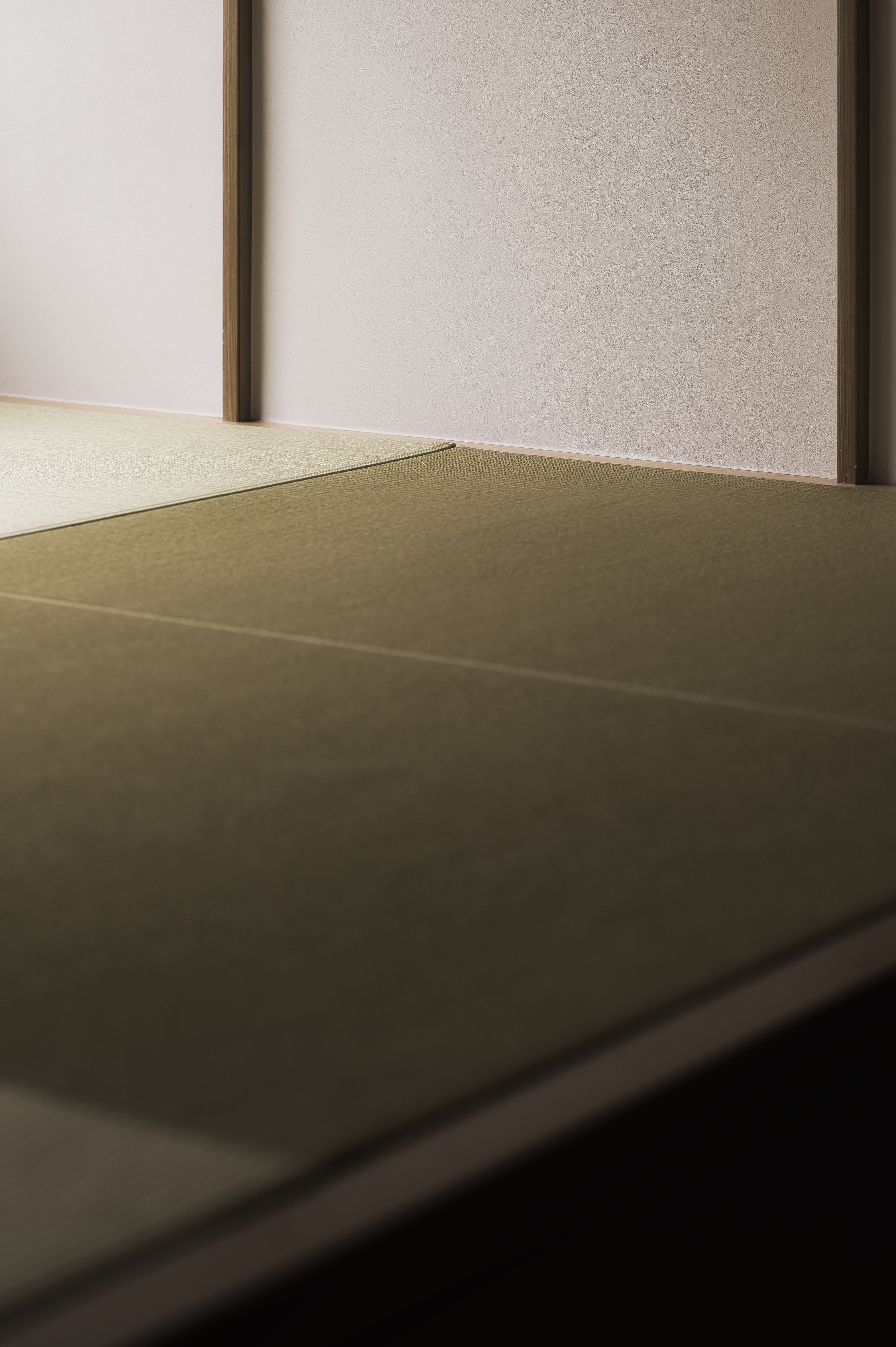 Kevin Lam - GO FAME COMPANY - Tai Mong Tsai Village