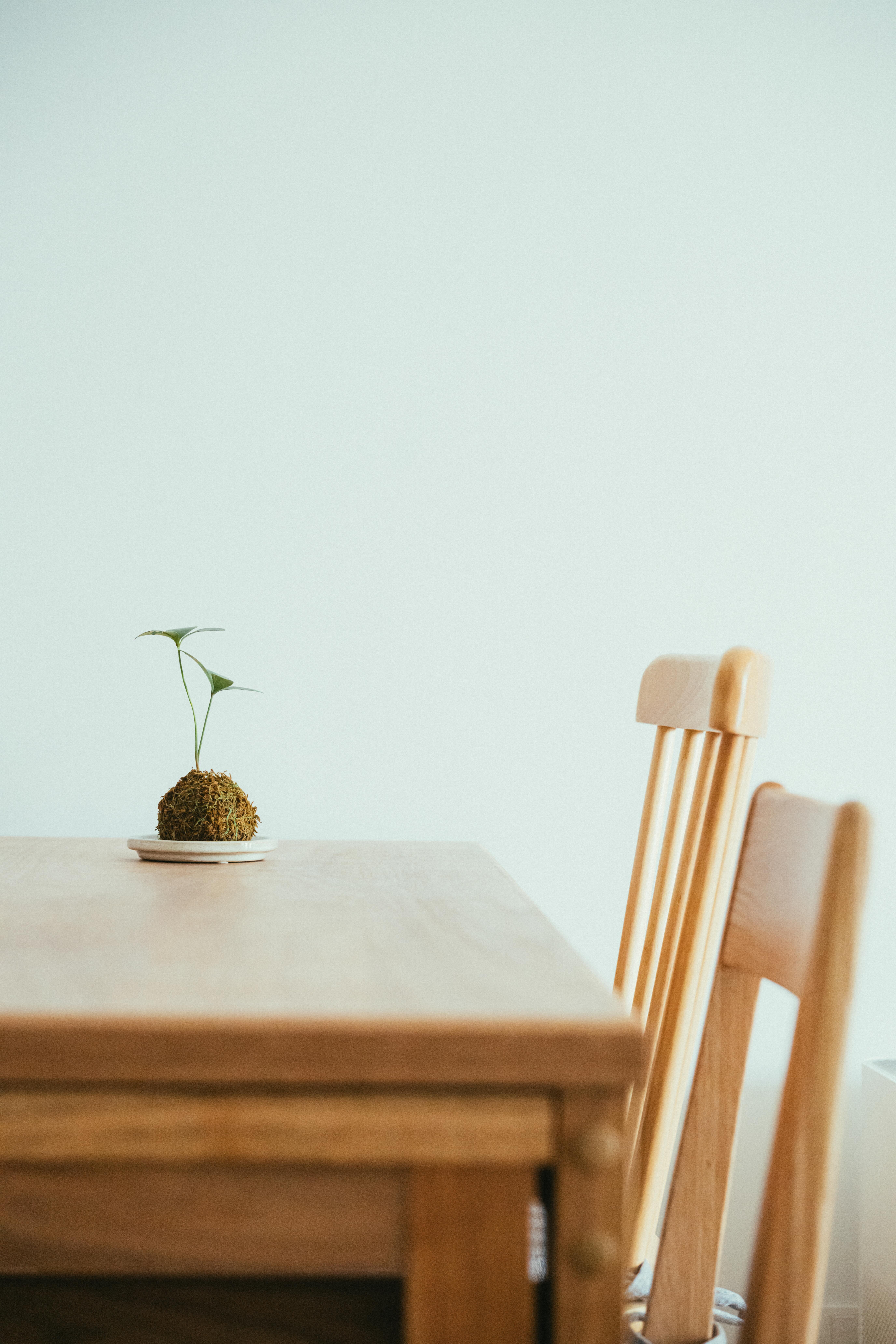 Kevin Lam - GO FAME COMPANY - 6 Broadcast Drive