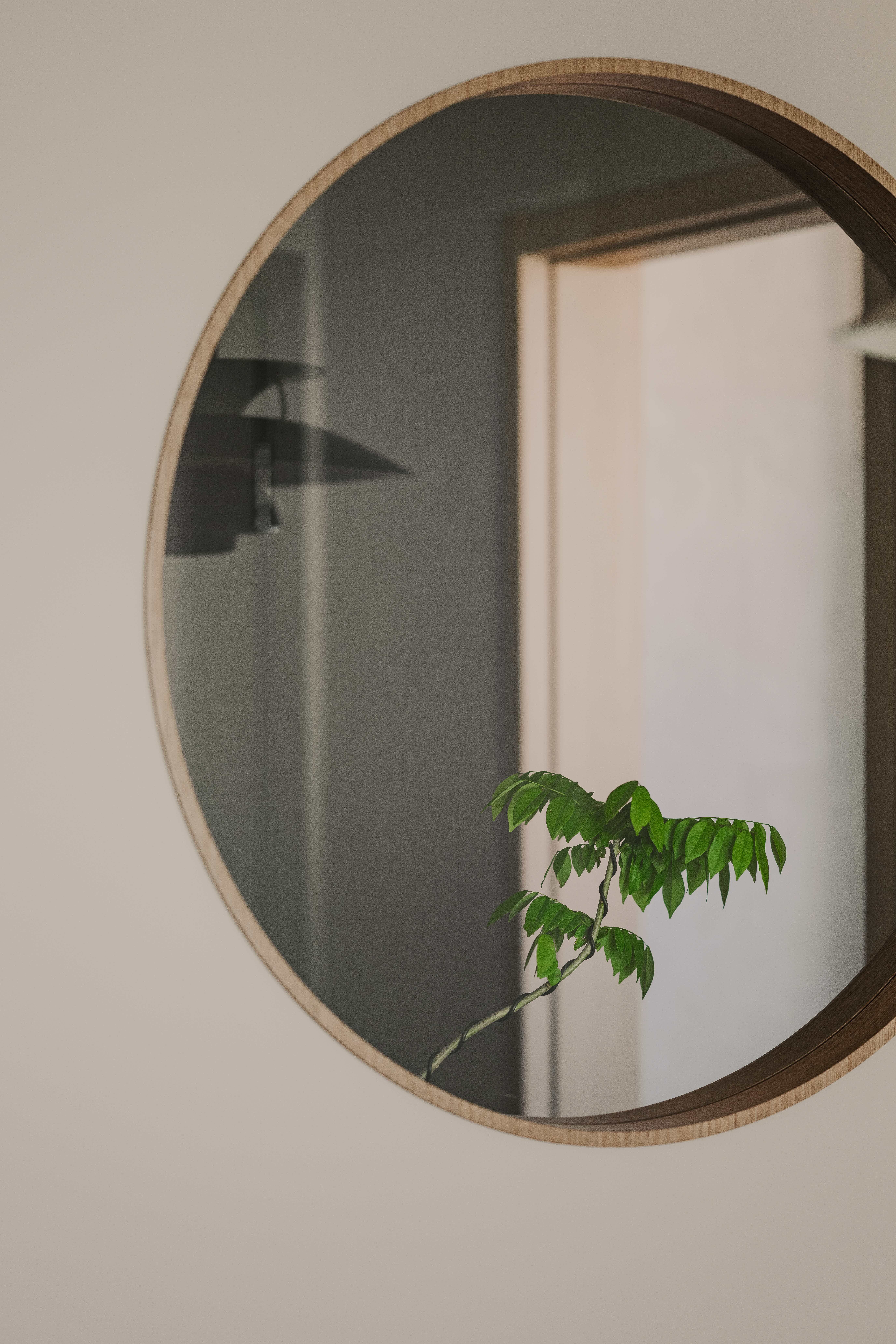 Kevin Lam - GO FAME COMPANY - Royal Peninsula