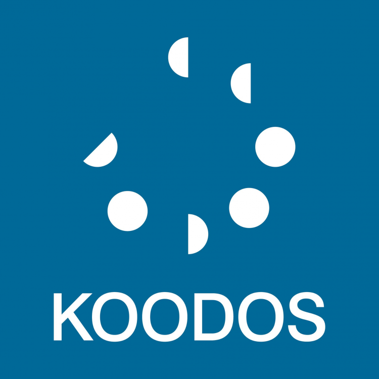 Koodos Design Limited